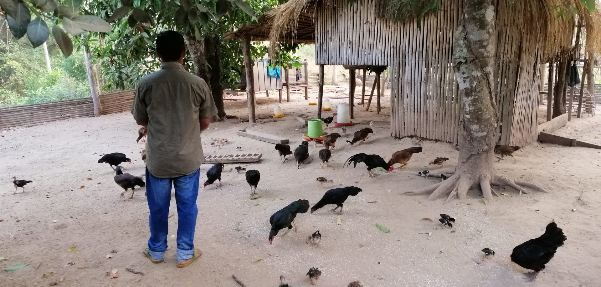 Food Security and Livestock